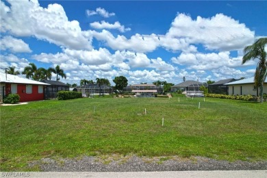 PRIME DIRECT SAILBOAT ACCESS LOT IN SE CAPE CORAL! PERFECT - photo 5