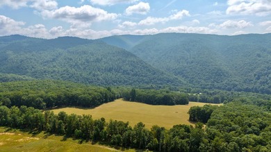 Escape to your own slice of paradise on 61 beautiful acres - photo 1