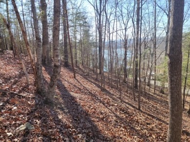 Norris Lake Acreage For Sale in Lafollette Tennessee