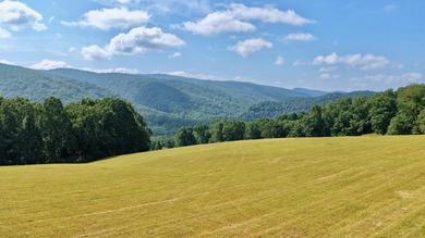 Escape to your own slice of paradise on 61 beautiful acres - photo 4