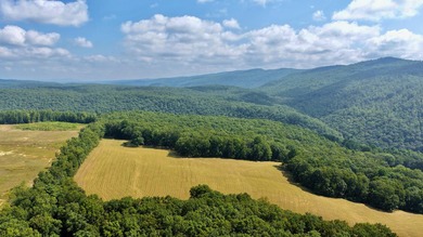 Escape to your own slice of paradise on 61 beautiful acres - photo 5