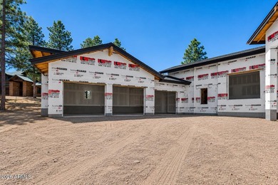 CORNER LOT ON CLUBHOUSE RD | ELEVATED PINE CANYON POSITION | - photo 13