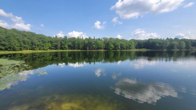 Loon Lake - Lake County Lot For Sale in Irons Michigan