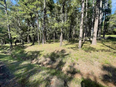 Lake Lot Off Market in Shirley, Arkansas