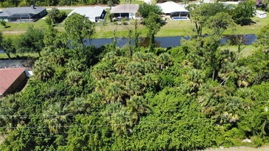 FRESH WATER CANAL VACANT LOT. Discover the perfect opportunity - photo 8