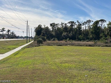 Great development opportunity along US 41 in South Fort Myers - photo 3