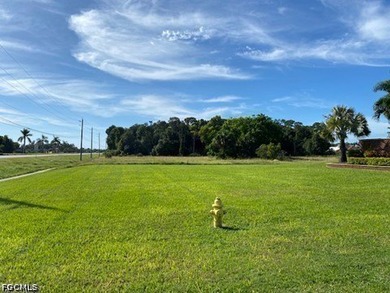 Great development opportunity along US 41 in South Fort Myers - photo 4