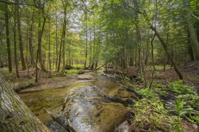 Lake Acreage For Sale in Beulah, Michigan