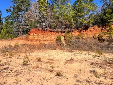 Some properties come ready-made. Others come ready to be shaped - photo 11