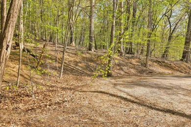 New Lower Price Adjustment. Your private lake retreat awaits! - photo 1