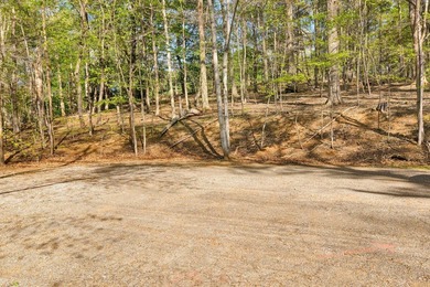 New Lower Price Adjustment. Your private lake retreat awaits! - photo 2