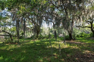 Rare opportunity to own a large 1.5-acre waterfront lot on - photo 4