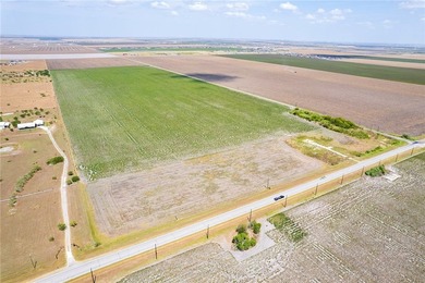 Large opportunity along FM 286 and CR 22 just outside Corpus - photo 1