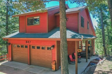 Lake Home For Sale in Divide, Colorado