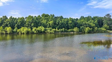 OPEN HOUSE SUN 7/12 2-4Refreshment Magnificent Contemporary 4+BR - photo 43