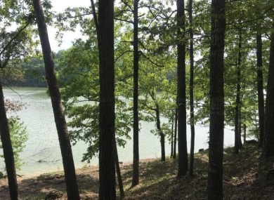 Lot #23 Coves of Crooked Creek on Smith Lake is a waterfront lot - photo 2