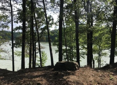 Lot #23 Coves of Crooked Creek on Smith Lake is a waterfront lot - photo 3