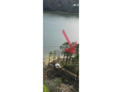 Lot #23 Coves of Crooked Creek on Smith Lake is a waterfront lot - photo 4