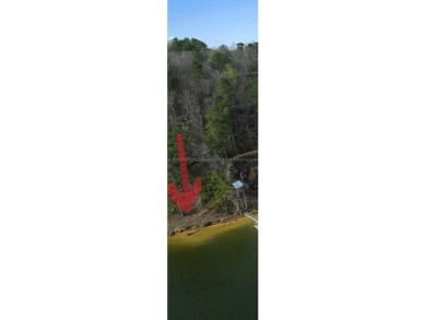 Lot #23 Coves of Crooked Creek on Smith Lake is a waterfront lot - photo 5