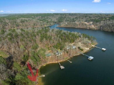 Lot #23 Coves of Crooked Creek on Smith Lake is a waterfront lot - photo 6