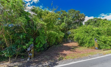 :3 +- Acre Riverfront Estate Home w/ Att 2 car garage plus a - photo 7