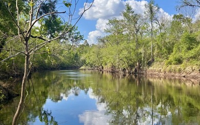 Lake Lot For Sale in Lee, Florida