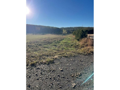 Great property with pond ready for livestock or homestead!! - photo 4