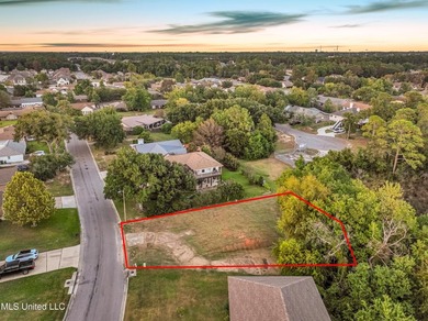Looking for a remarkable lot on the back bay of Biloxi? Look no - photo 6