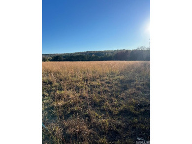Great piece of land to build on or run some cattle on. Enjoy the - photo 1