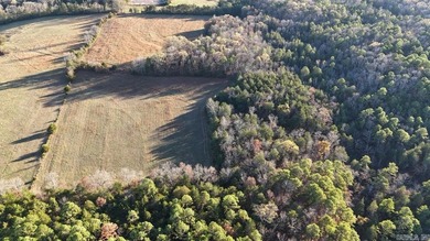 Great piece of land to build on or run some cattle on. Enjoy the - photo 2