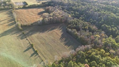 Great piece of land to build on or run some cattle on. Enjoy the - photo 3