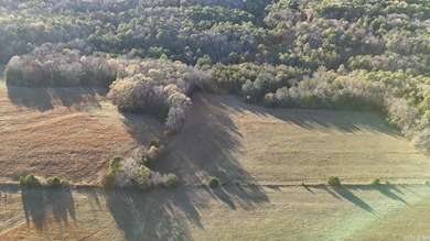 Great piece of land to build on or run some cattle on. Enjoy the - photo 4