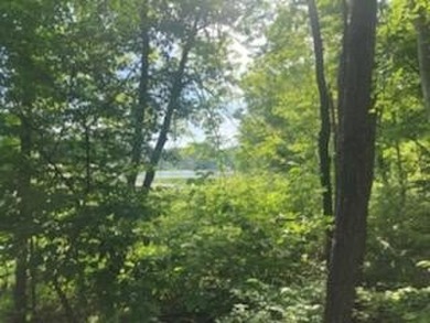 (private lake, pond, creek) Acreage For Sale in Berrien Springs Michigan