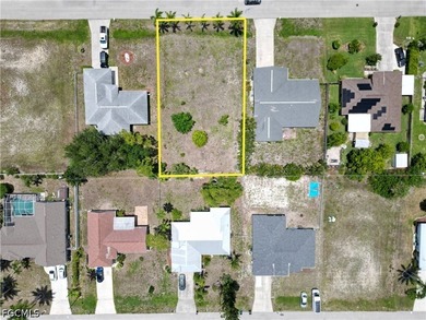 Vacant lot in the highly desirable Southwest Cape Coral! This - photo 3