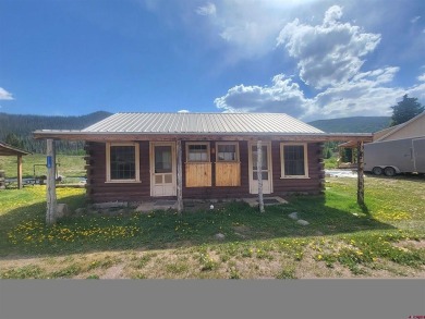 (private lake, pond, creek) Home For Sale in Platoro Colorado
