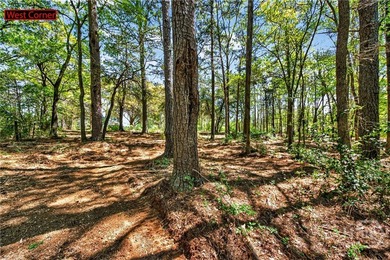 Don't miss this opportunity to own 2 beautiful acres in - photo 11