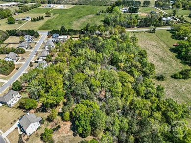 Don't miss this opportunity to own 2 beautiful acres in - photo 17