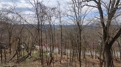 Table Rock Lake - Carroll County Lot For Sale in Holiday Island Arkansas