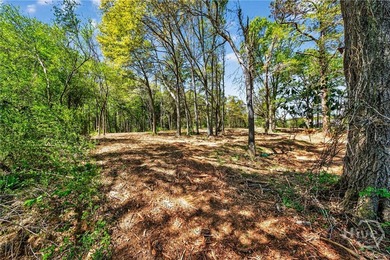 Don't miss this opportunity to own 2 beautiful acres in - photo 25