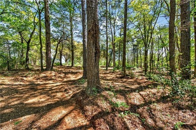 Don't miss this opportunity to own 2 beautiful acres in - photo 27