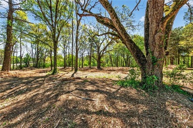 Don't miss this opportunity to own 2 beautiful acres in - photo 29