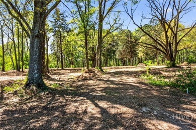 Don't miss this opportunity to own 2 beautiful acres in - photo 35