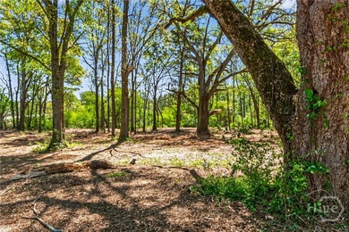 Don't miss this opportunity to own 2 beautiful acres in - photo 36