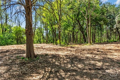 Don't miss this opportunity to own 2 beautiful acres in - photo 38