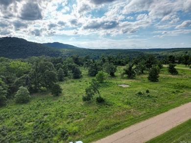 Discover 7.75 acres of mostly level Ozark beauty in White River - photo 1