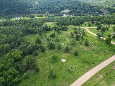Discover 7.75 acres of mostly level Ozark beauty in White River - photo 2