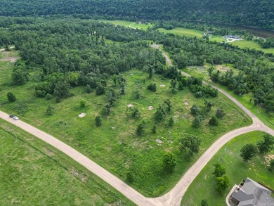 Discover 7.75 acres of mostly level Ozark beauty in White River - photo 4