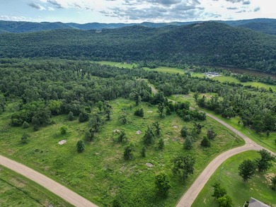 Discover 7.75 acres of mostly level Ozark beauty in White River - photo 5