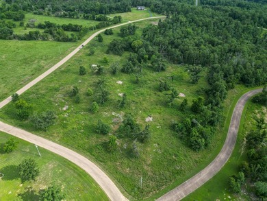 Discover 7.75 acres of mostly level Ozark beauty in White River - photo 6
