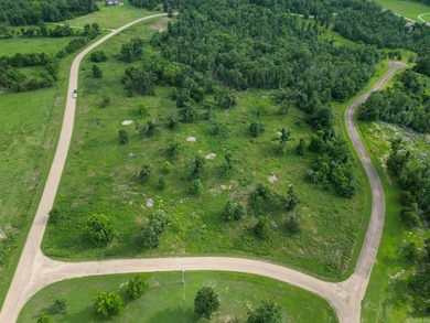 Discover 7.75 acres of mostly level Ozark beauty in White River - photo 7